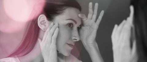 aesthetica Aktuelle Informationen